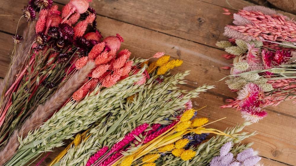 Langtidsholdbare blomster - Bland Selv Frø