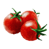 Cherrytomat