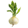 Majroe
