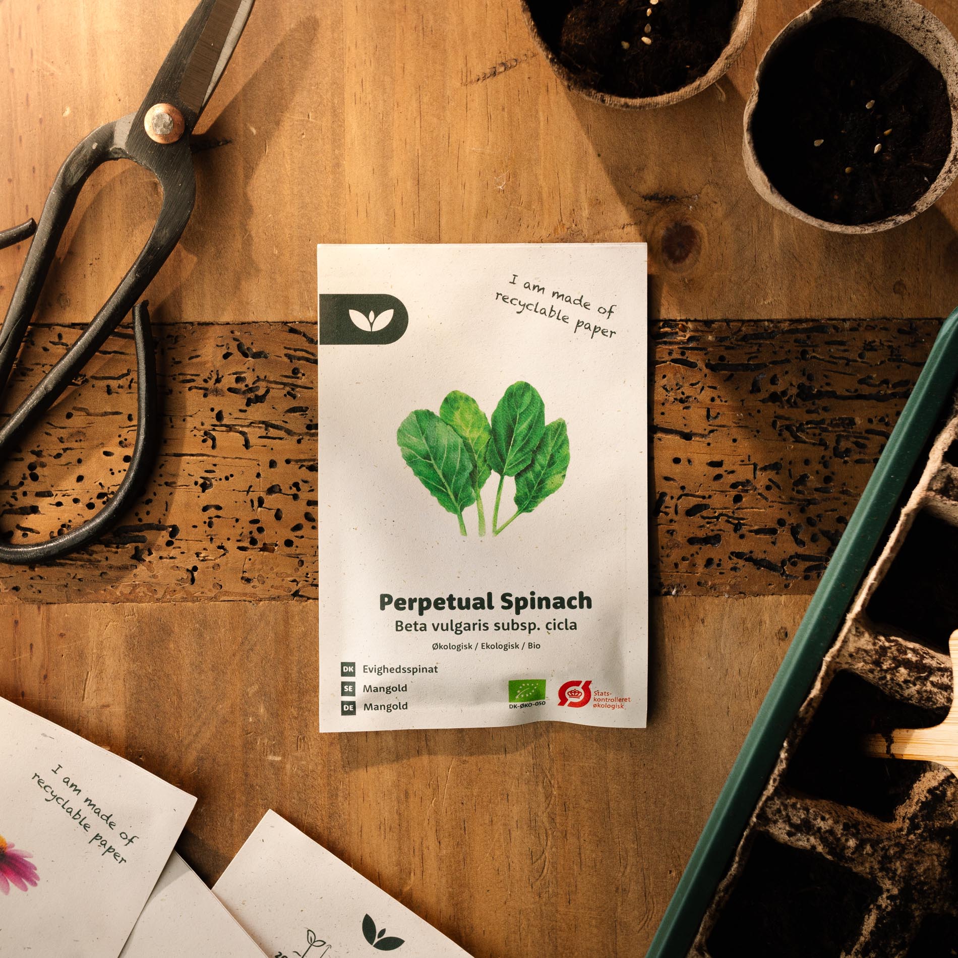 Evighedsspinat 'Perpetual Spinach' – 50 Økologiske Frø