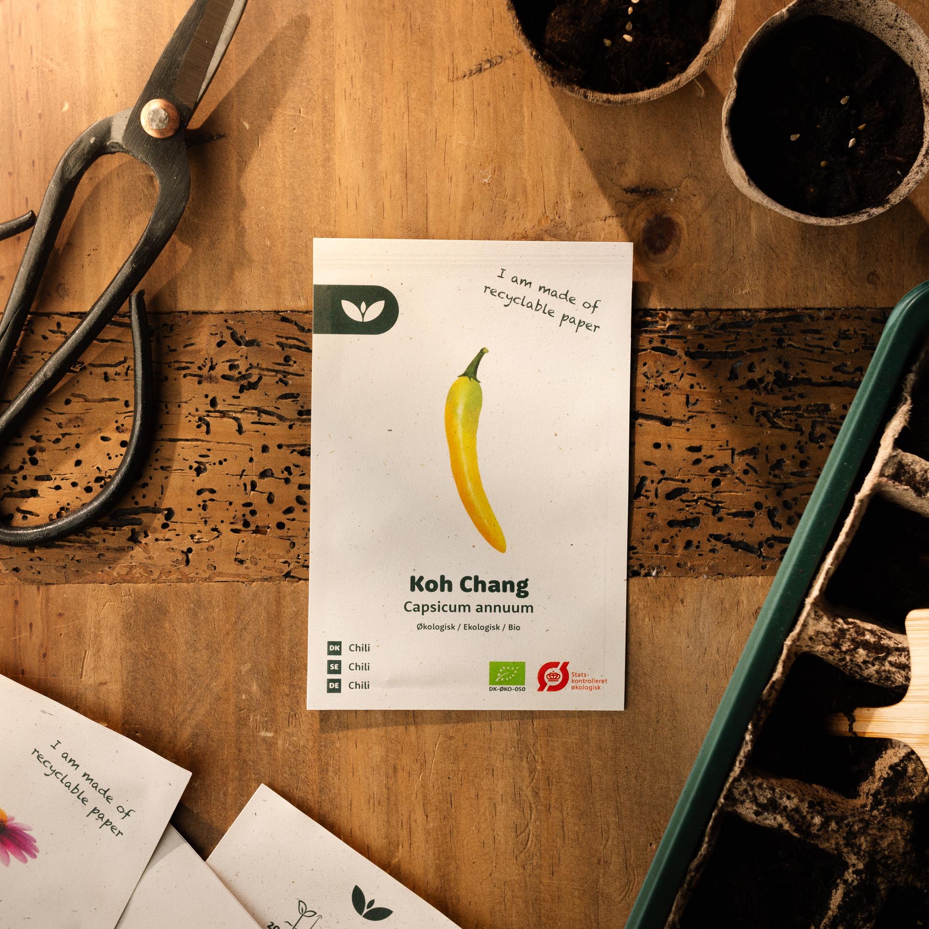 Stærk Chili 'Koh Chang' – 5 Økologiske Frø