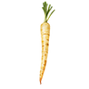 Persillerod