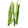 Pralbønner