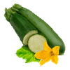 Grøntsagsfrø
