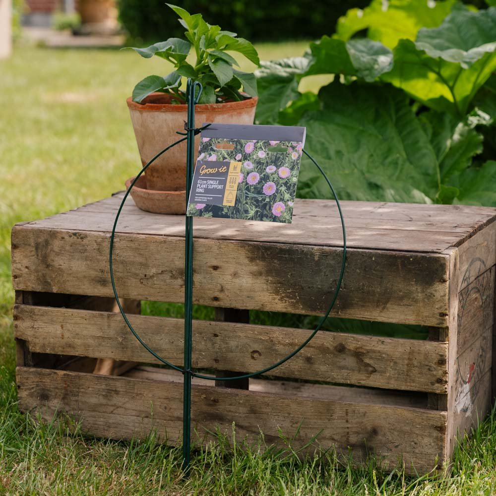 Enkel plantesupport ring, L: 40 cm B: 40cm H: 61 cm