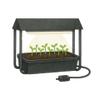 Plantelys