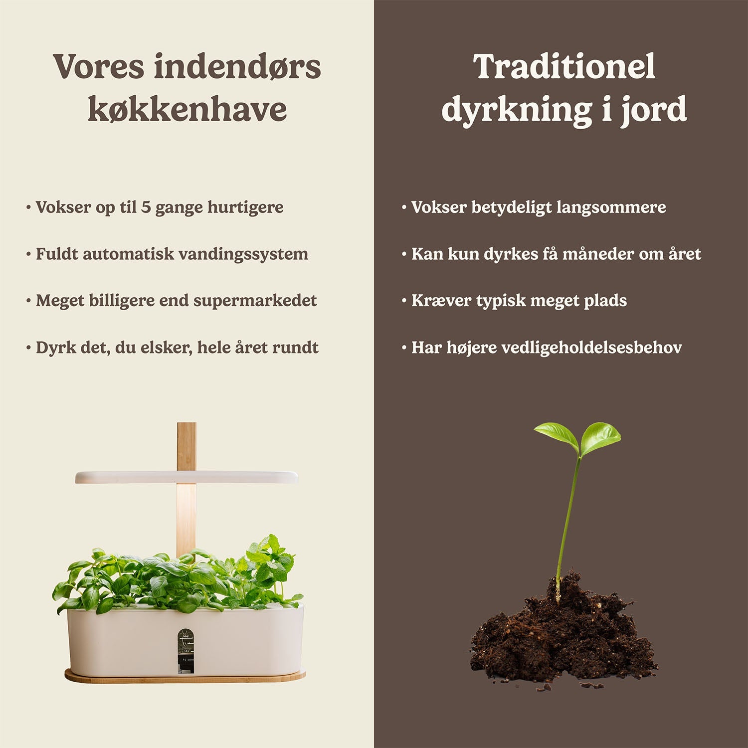 Indendørs køkkenhave, stor