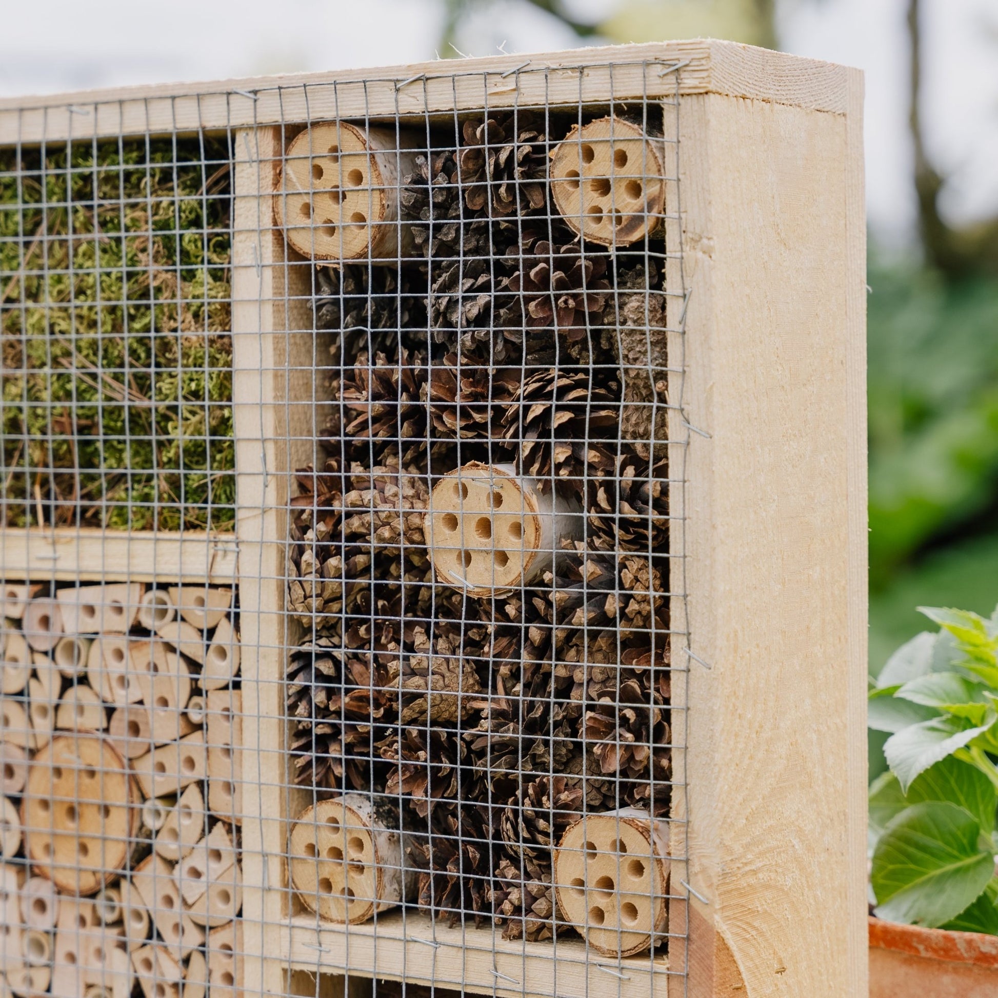 Insekthotel, large