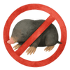 Muldvarper