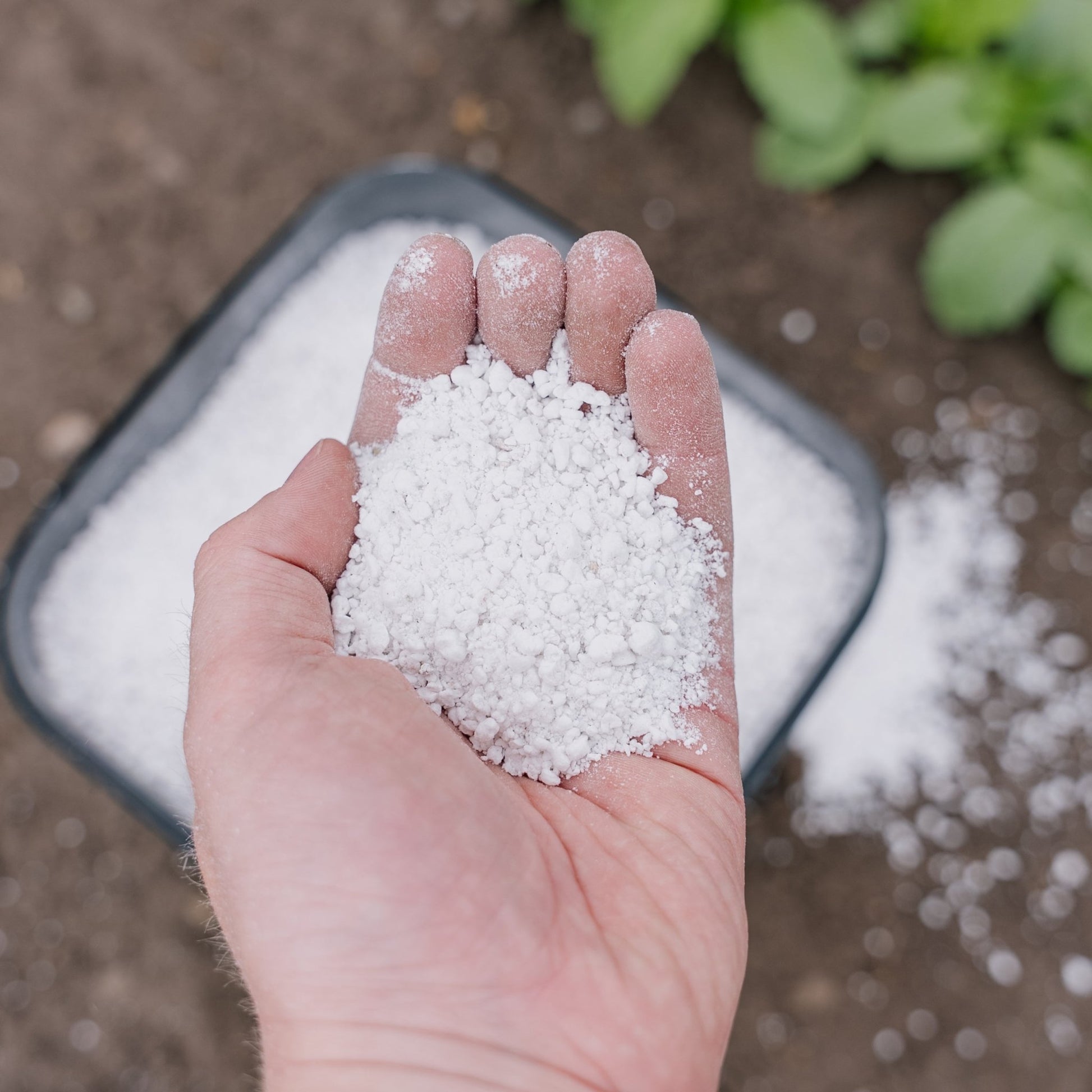 Perlite 5 l.