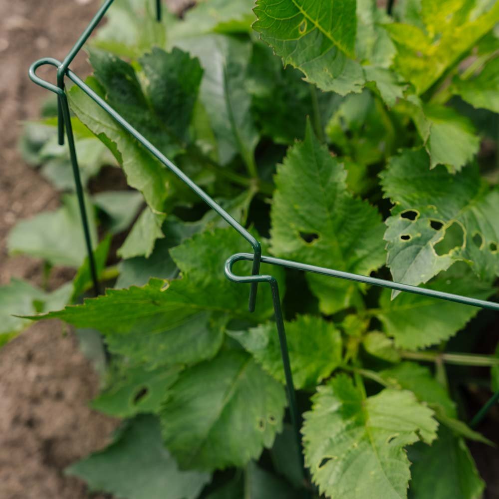 Plantestøtte, 4 stk, H: 45cm x B: 17cm