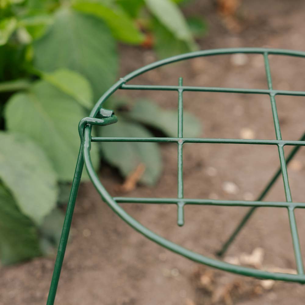 Støttenet til planter, B: 30 cm H: 45 cm