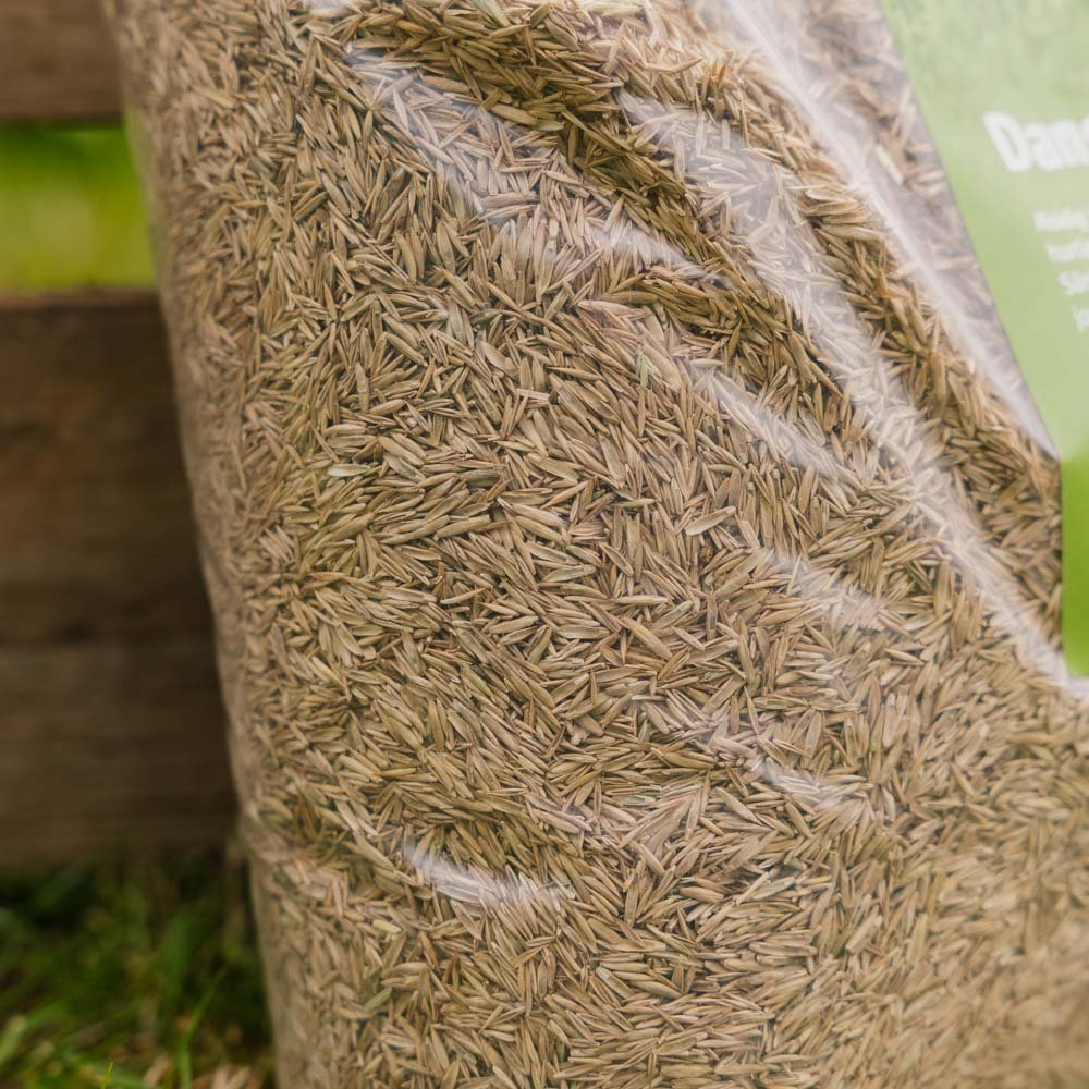 Turfline Dansk Plænegræs ‒ 1,8 kg (60 m²)