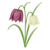 Forårsblomster