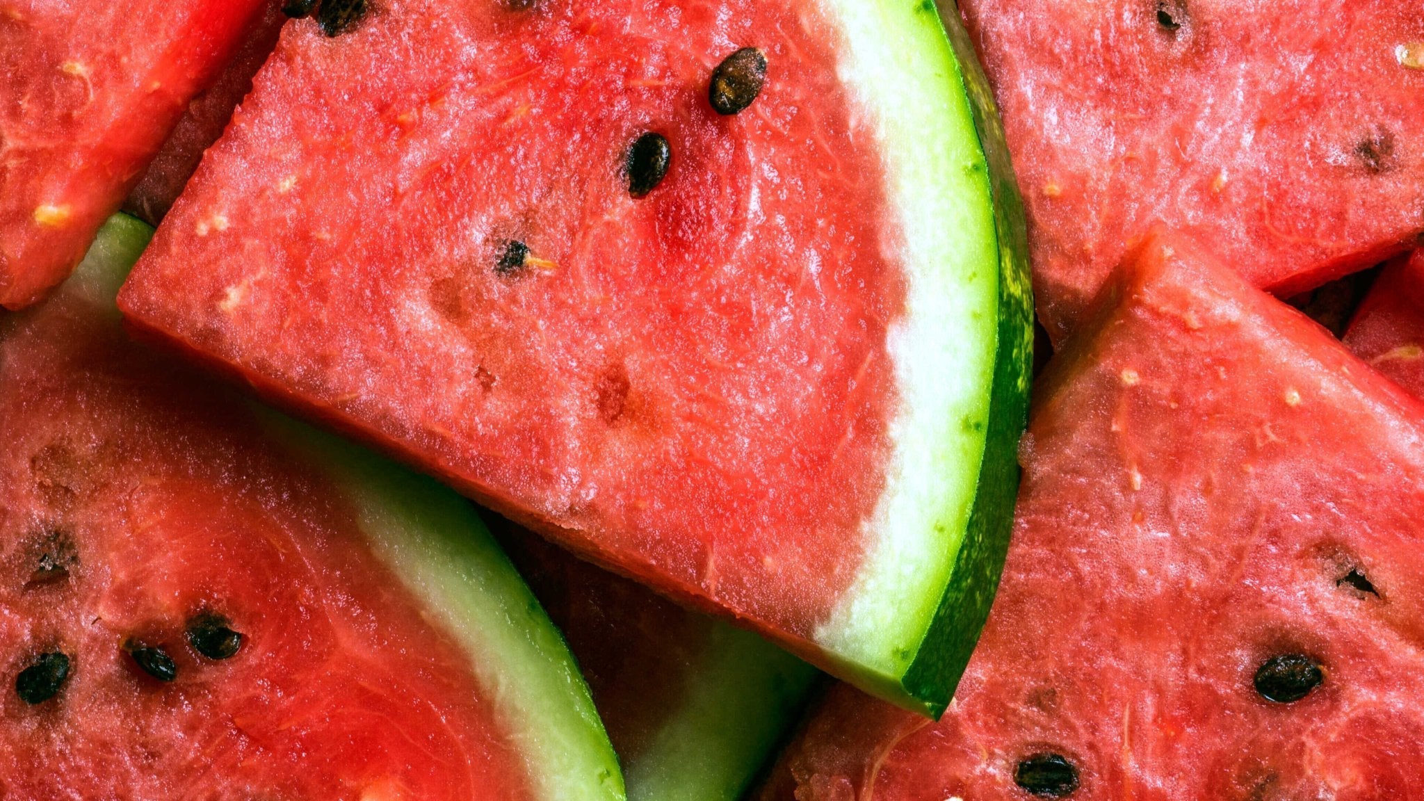 Dyrkning af vandmelon - Sådan gør du - Bland Selv Frø