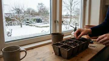 Forspiring i februar - Bland Selv Frø