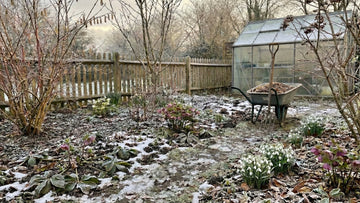 Haven i februar - Bland Selv Frø