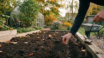 Hvad kan man så i september? - Bland Selv Frø