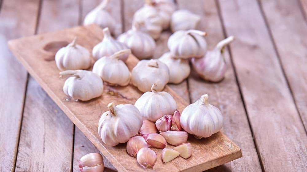 Hvidløg - Bland Selv Frø