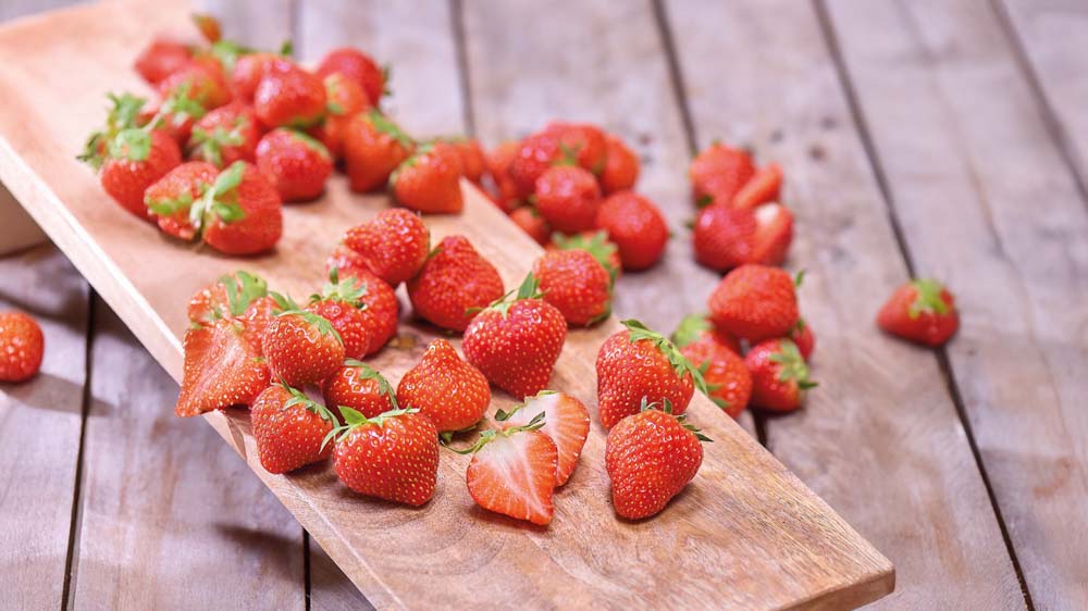 Jordbær - Bland Selv Frø