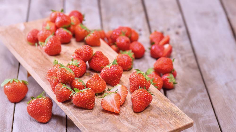Spiselige planter - Bland Selv Frø
