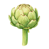 Artiskok