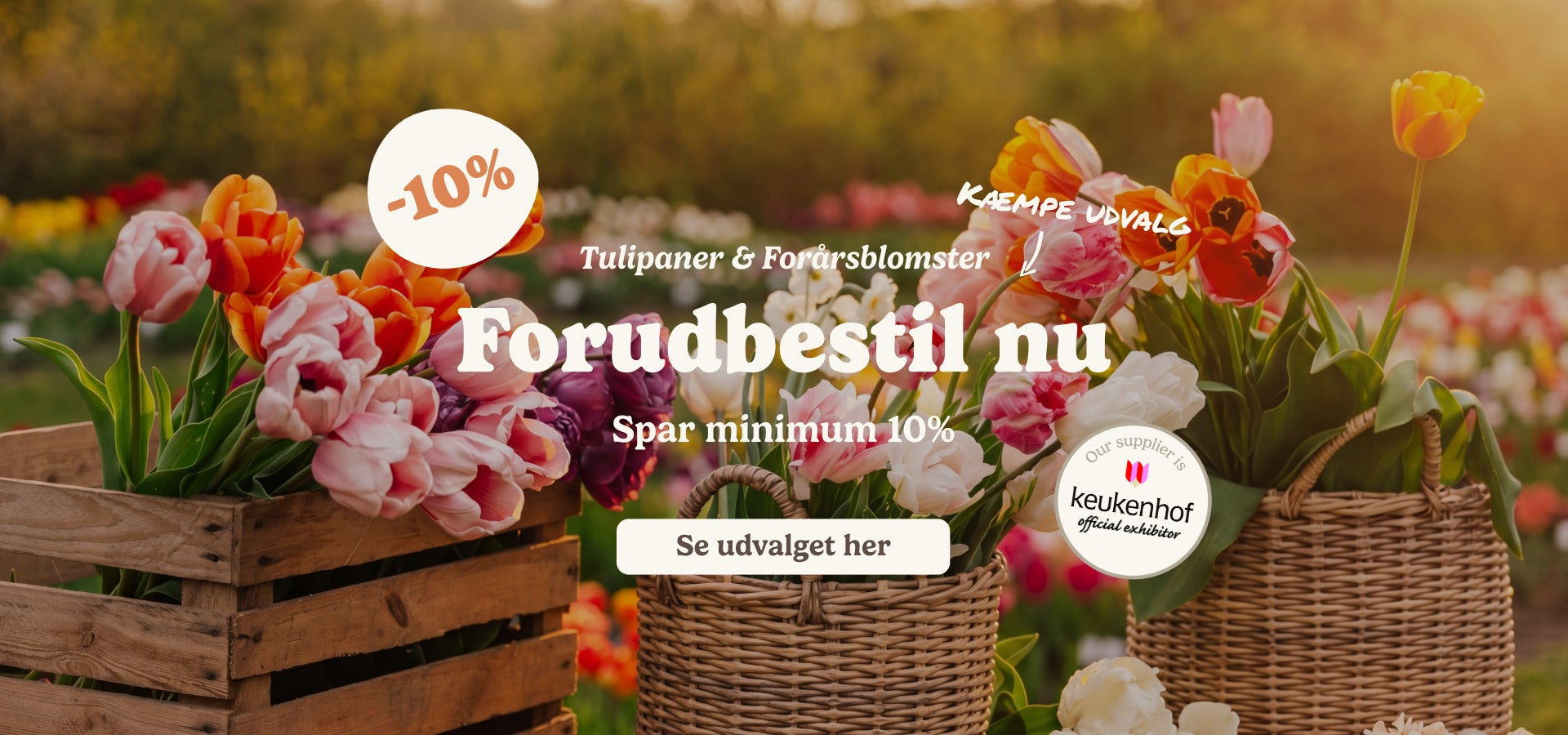 slider image slider_item_kQPpzB