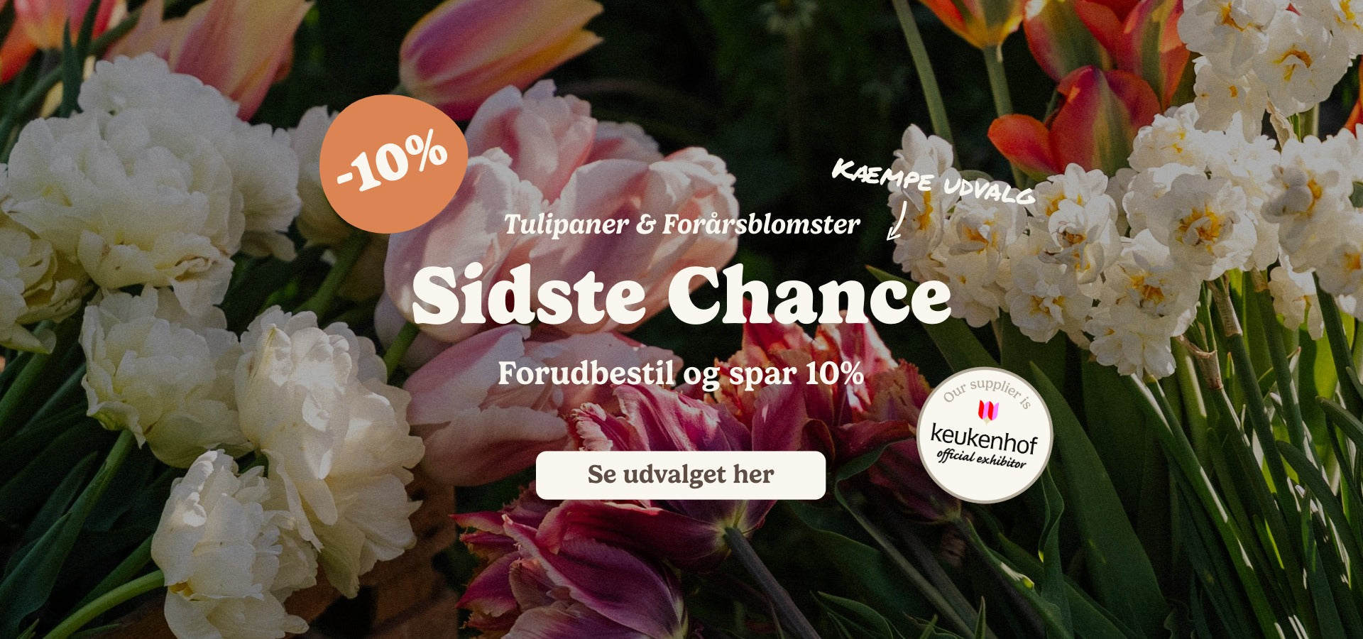 slider image slider_item_kQPpzB