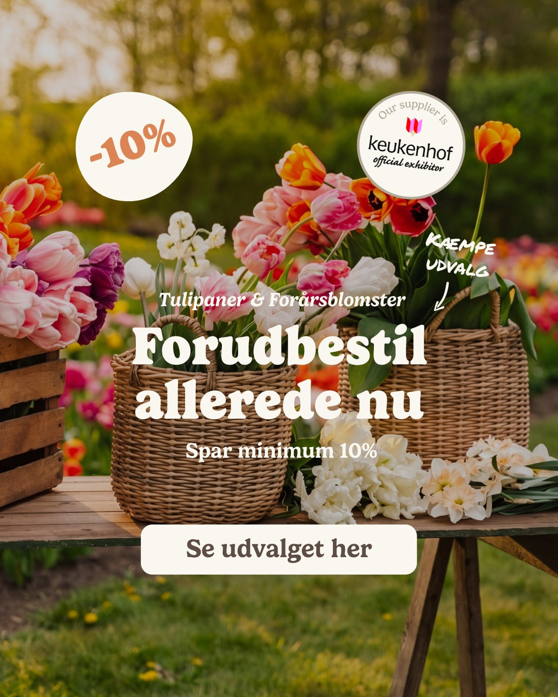 slider image slider_item_kQPpzB
