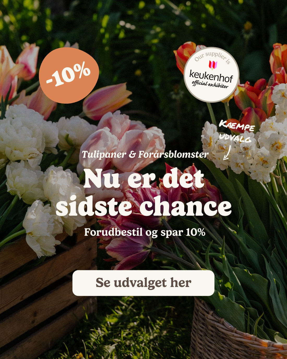 slider image slider_item_kQPpzB