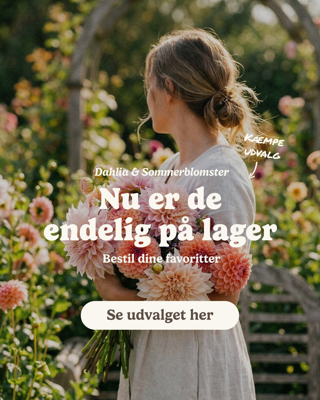 slider image slider_item_4j3B4A