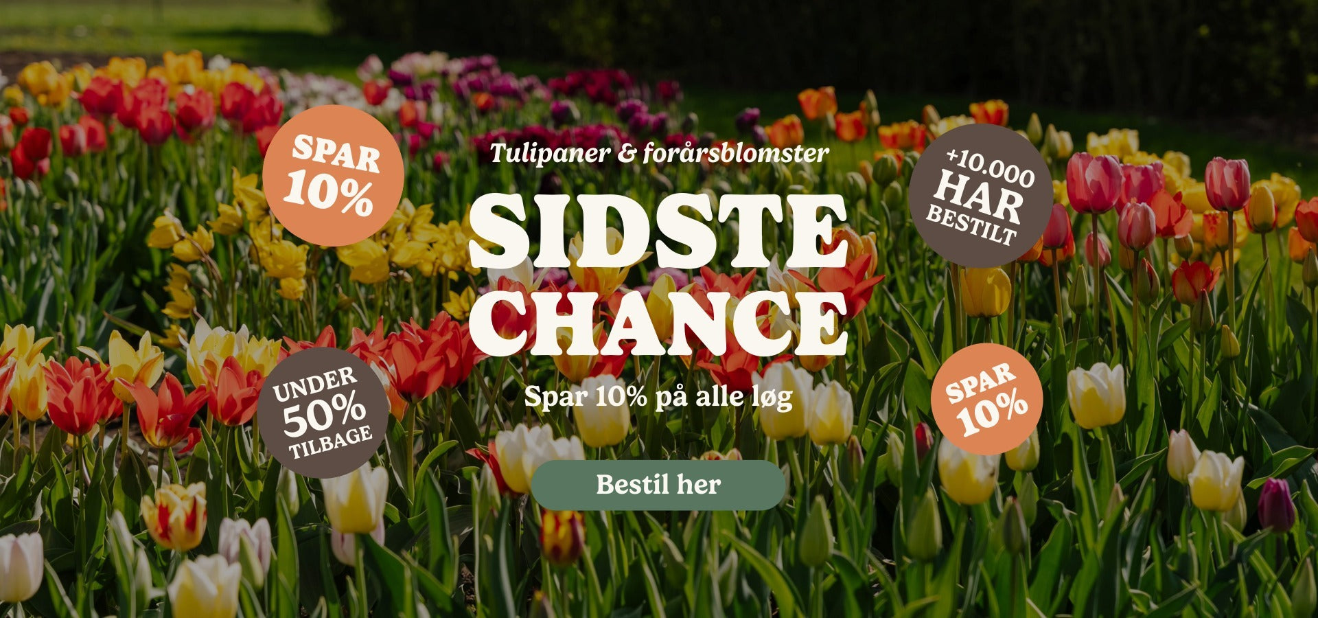 slider image slider_item_j6HeEe