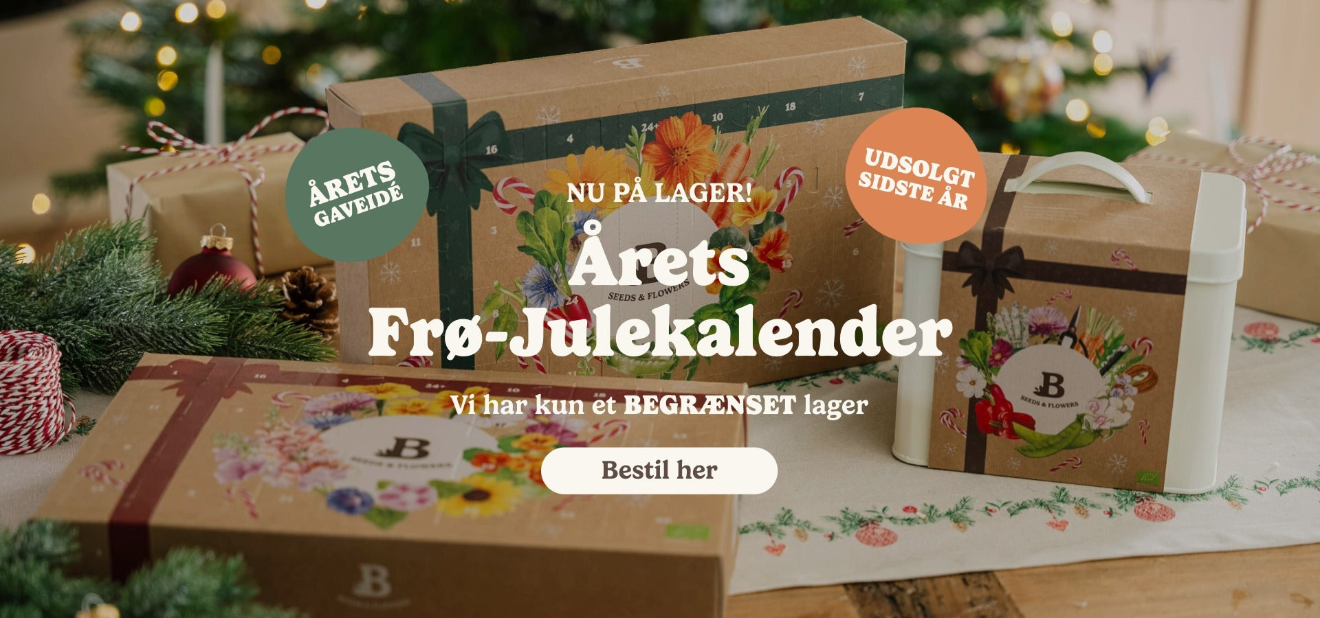 slider image slider_item_j6HeEe