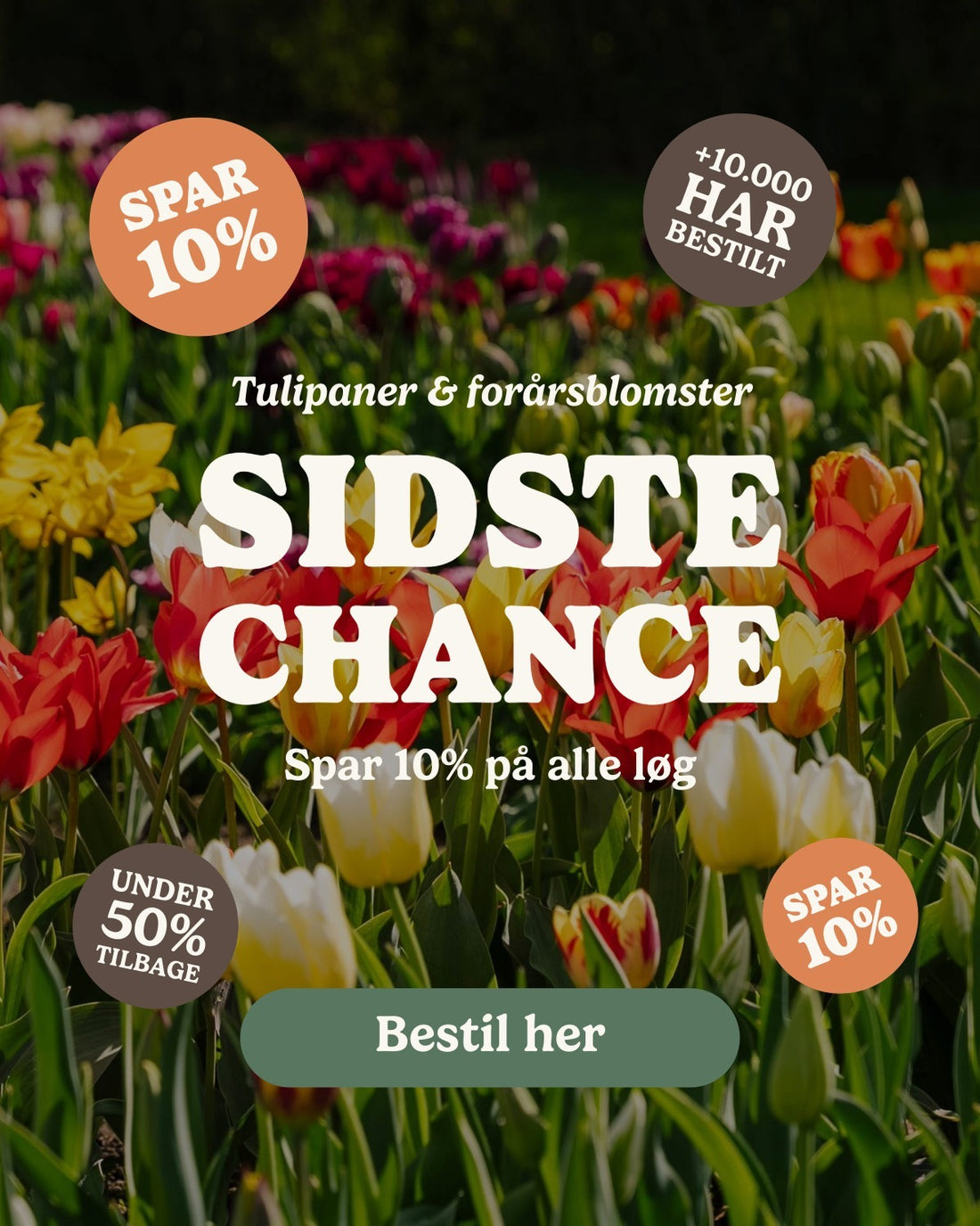 slider image slider_item_j6HeEe