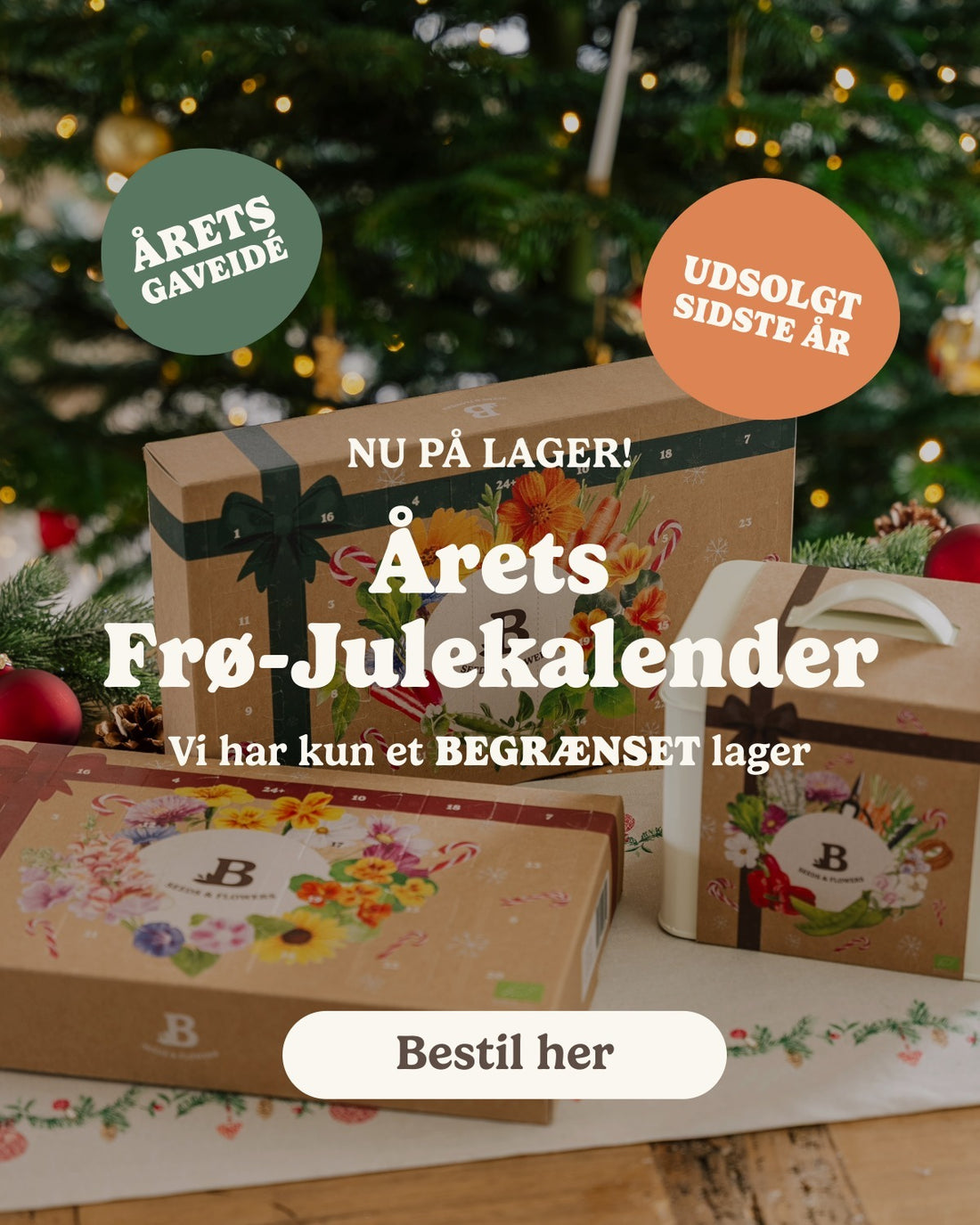 slider image slider_item_j6HeEe