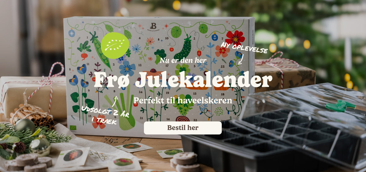 slider image slider_item_XEU784