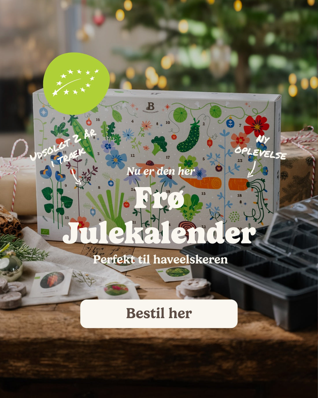 slider image slider_item_XEU784