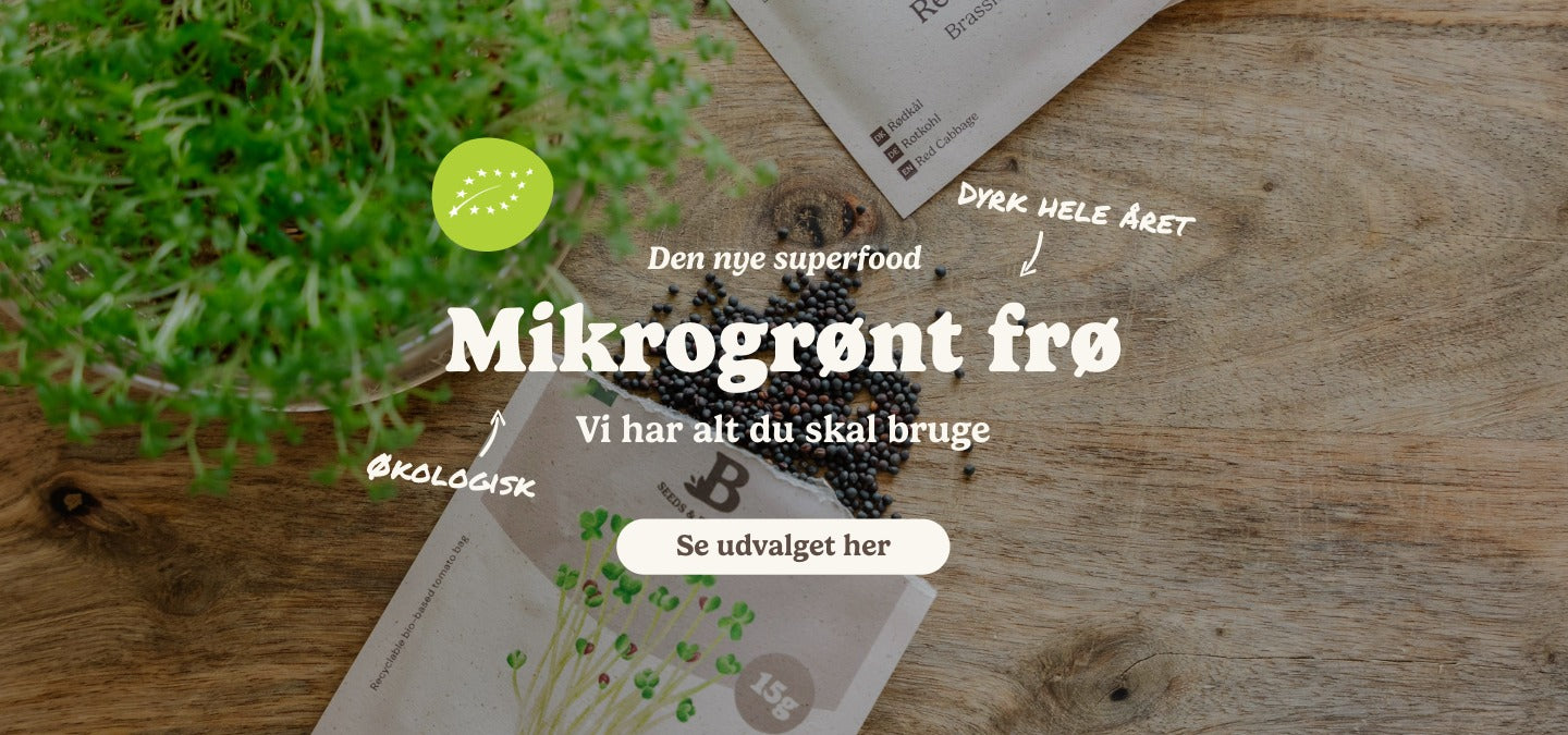 slider image slider_item_BUWfj8