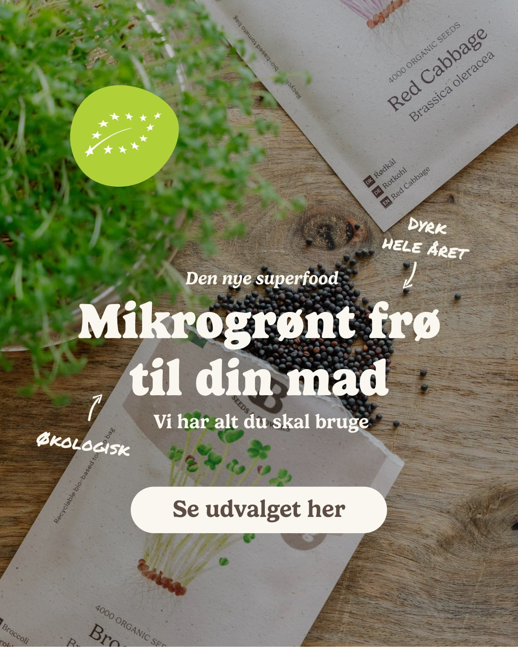 slider image slider_item_BUWfj8