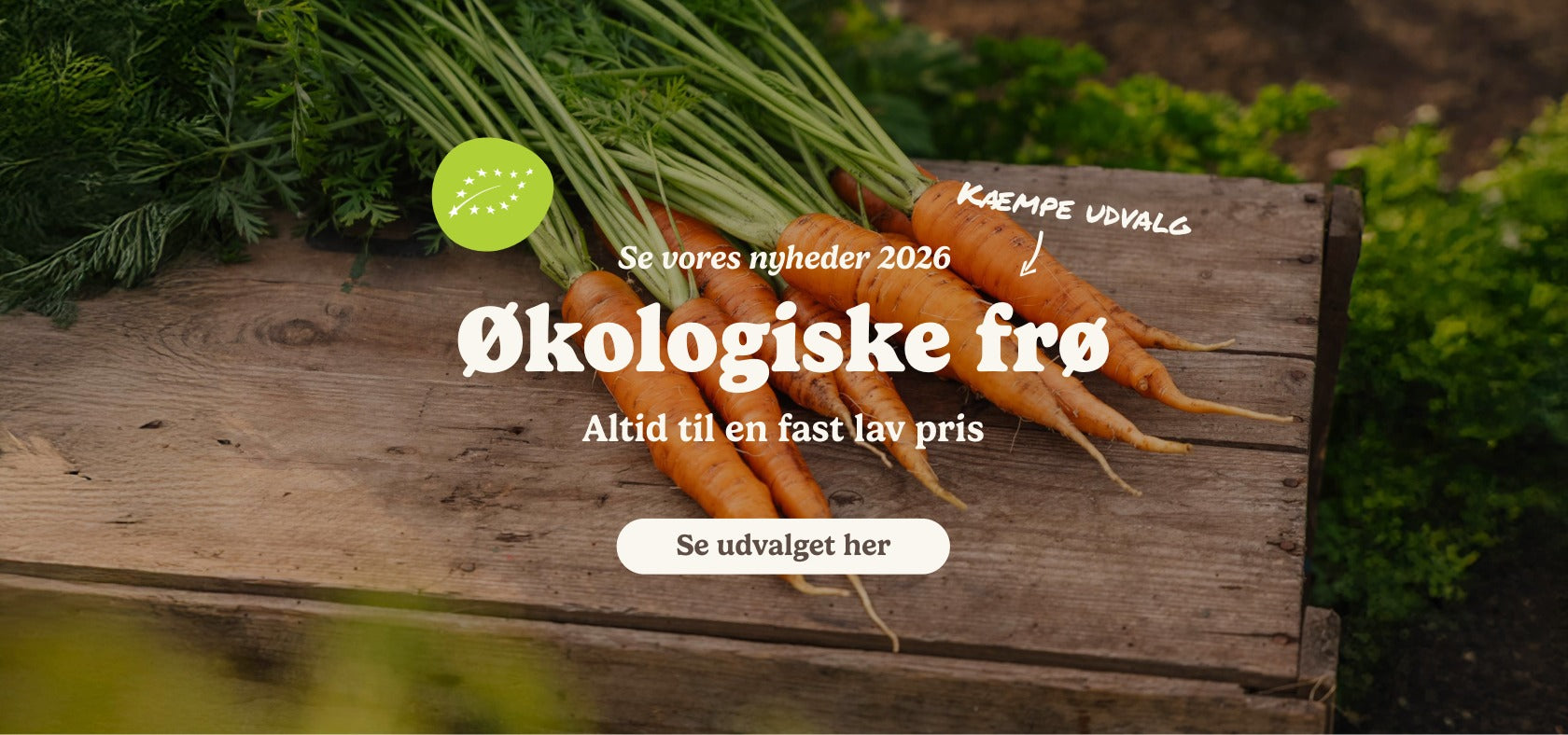 slider image slider_item_j6HeEe