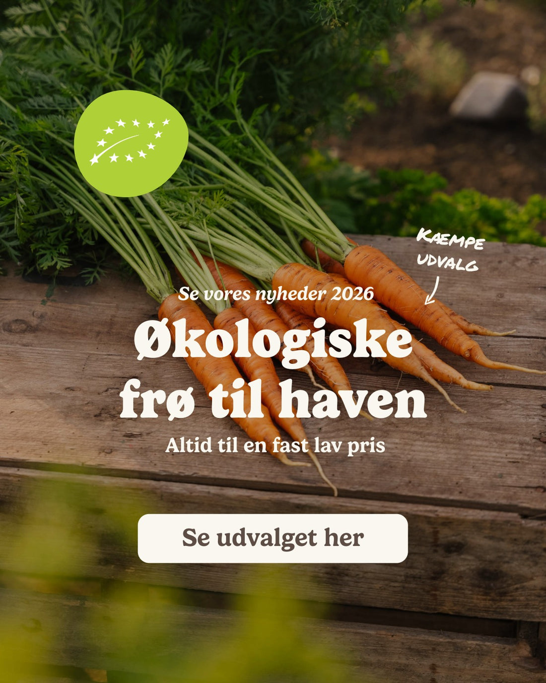 slider image slider_item_j6HeEe