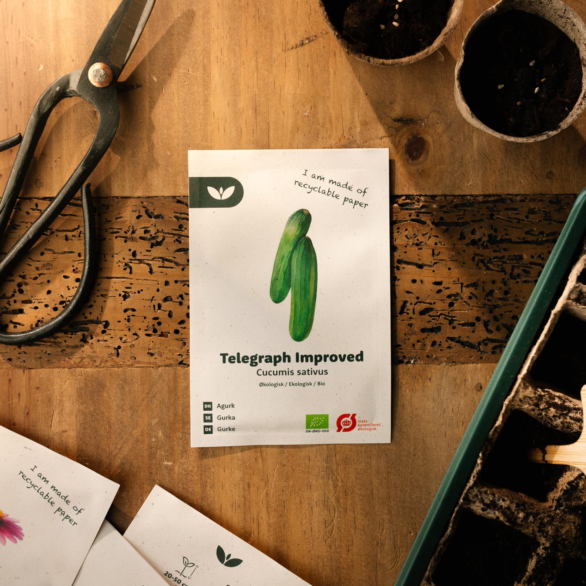 Agurkefrø “Telegraph Improved” – 10 Økologiske Frø