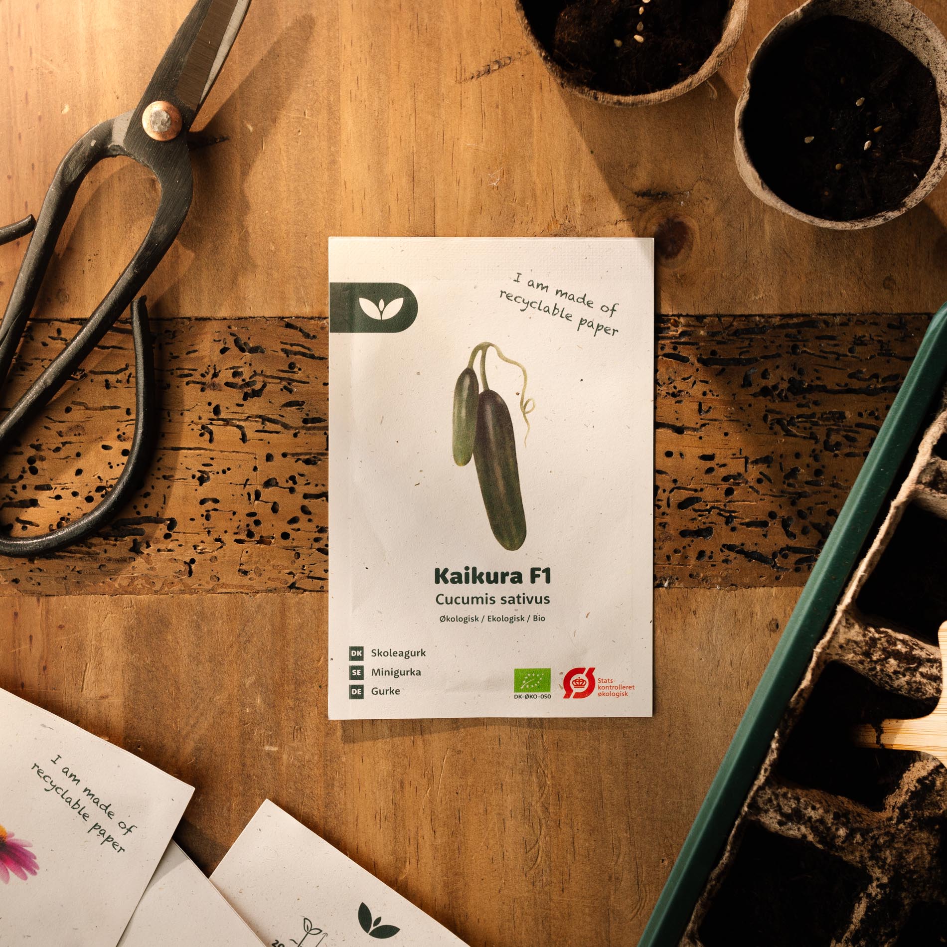 Skoleagurk “Kaikura F1” – 5 Økologiske Frø