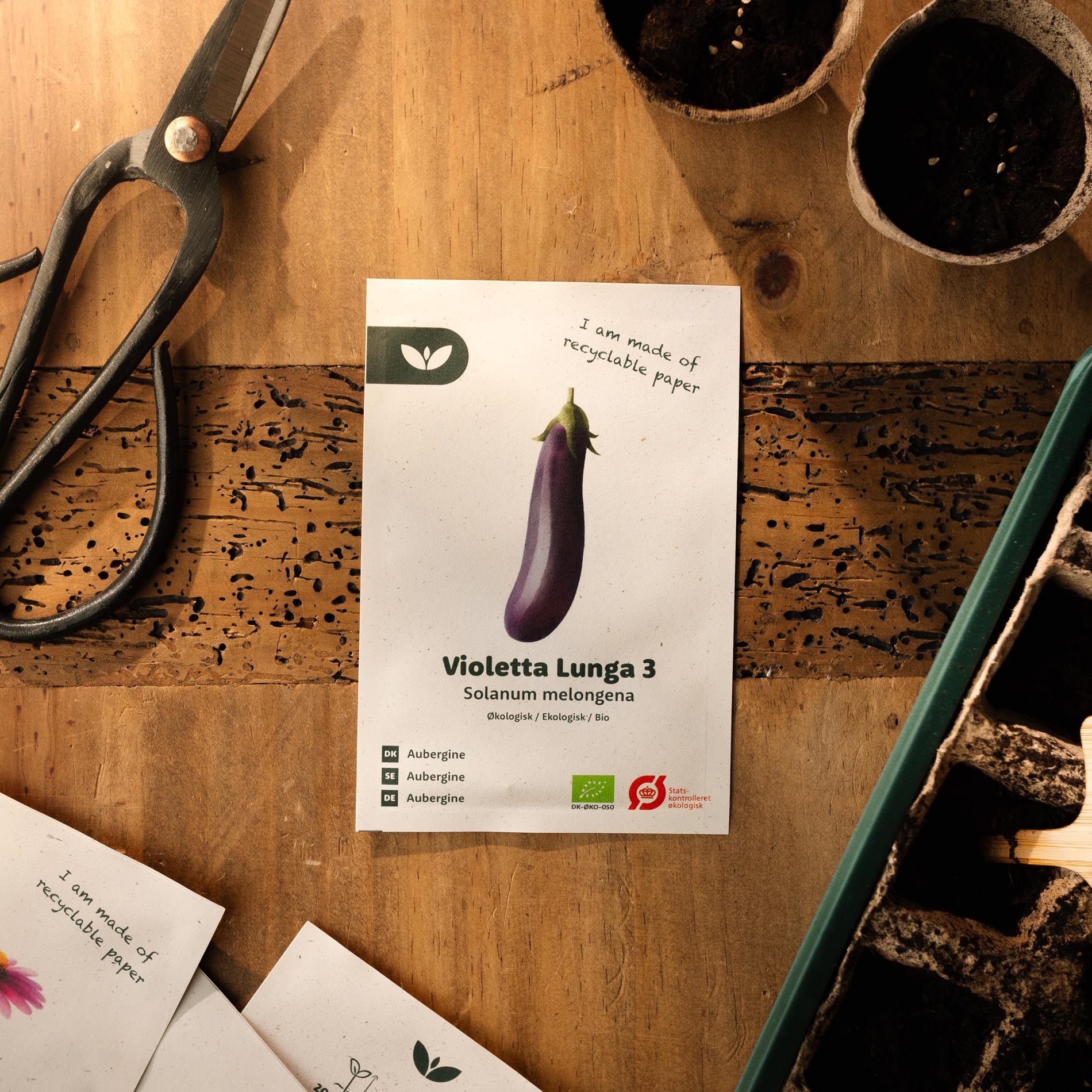 Aubergine frø “Violetta Lunga 3” – 20 Økologiske Frø