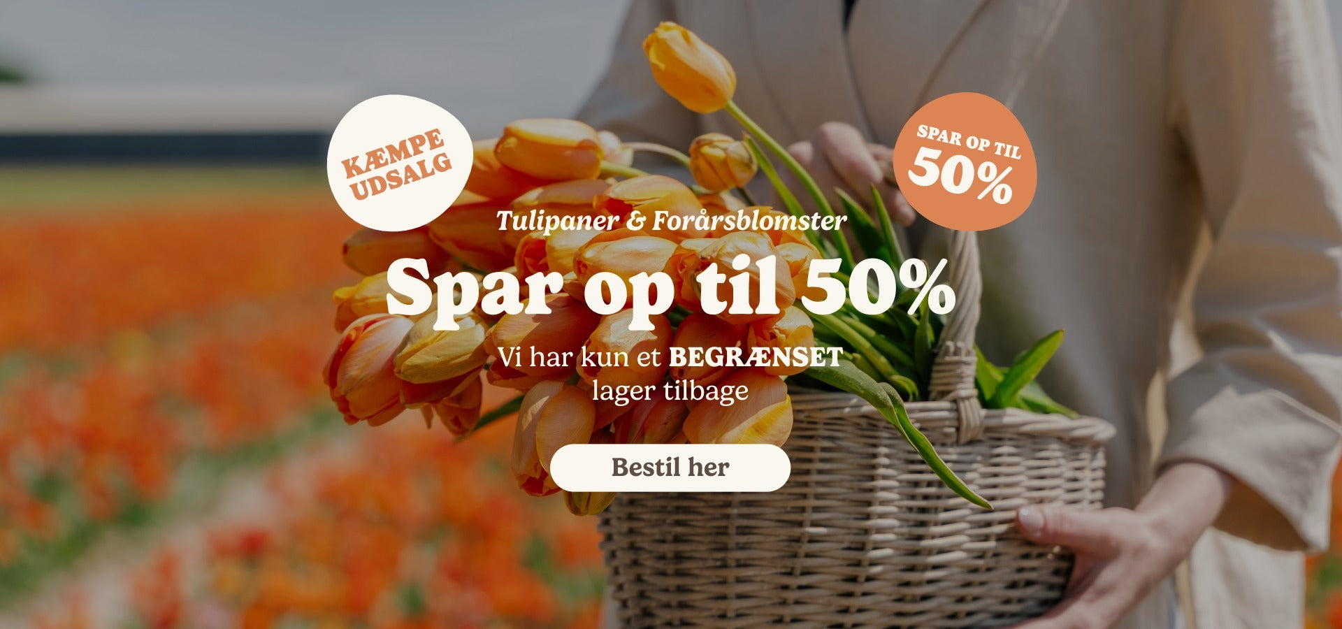 slider image slider_item_BUWfj8