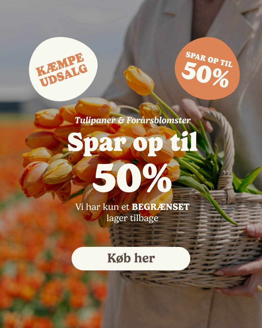 slider image slider_item_BUWfj8