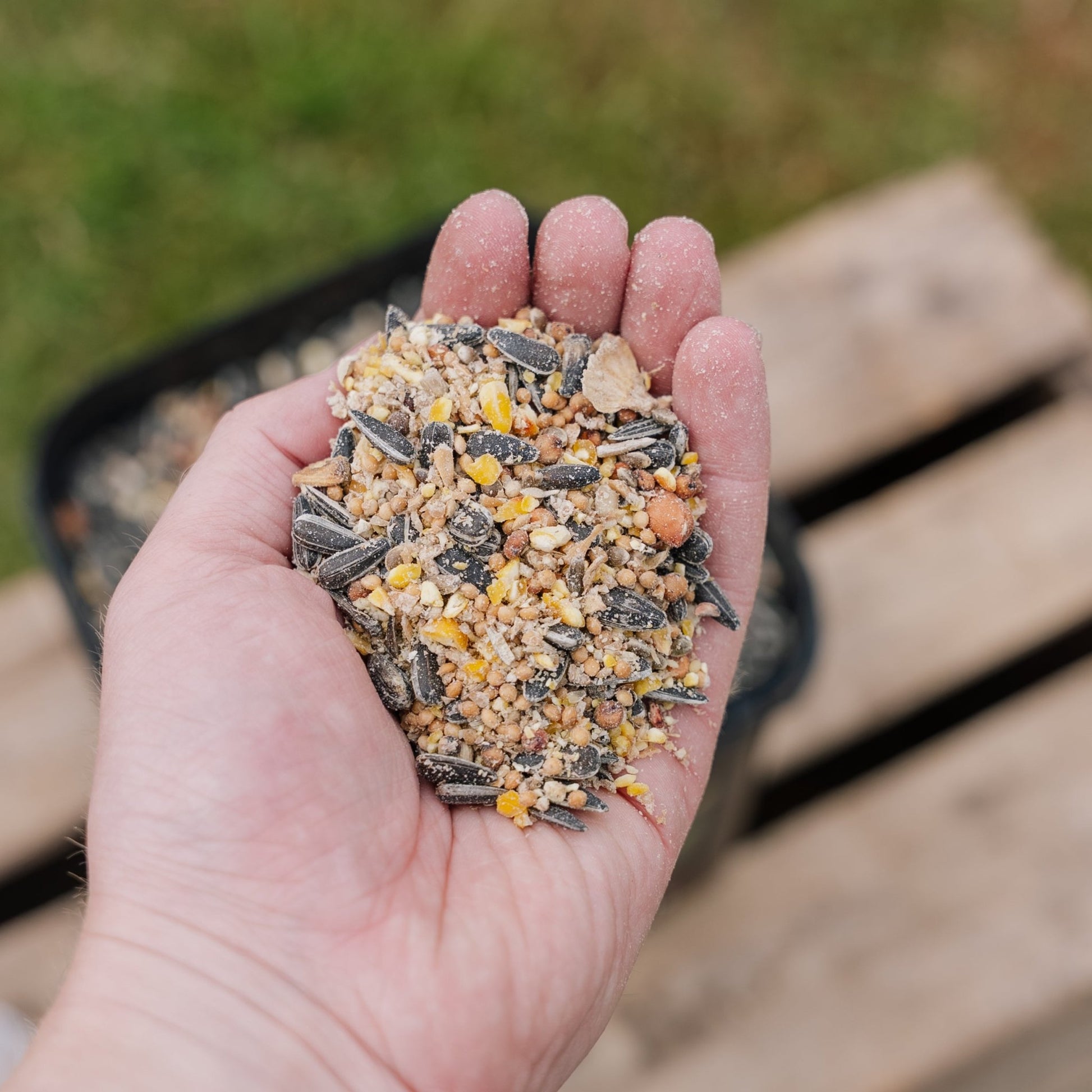 All‒Year DeLuxe‒mix