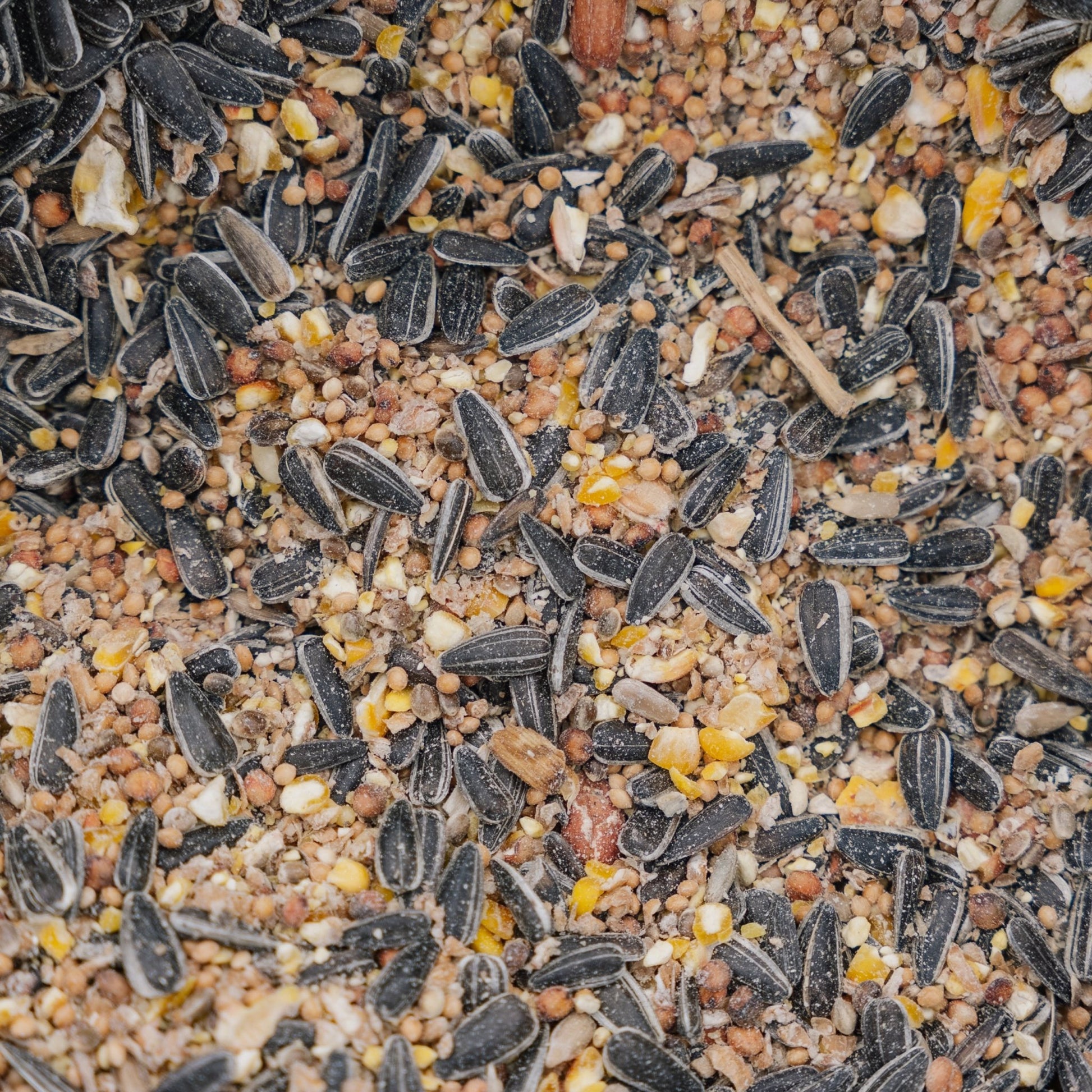 All‒Year DeLuxe‒mix