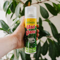 Bladglans 200 ml