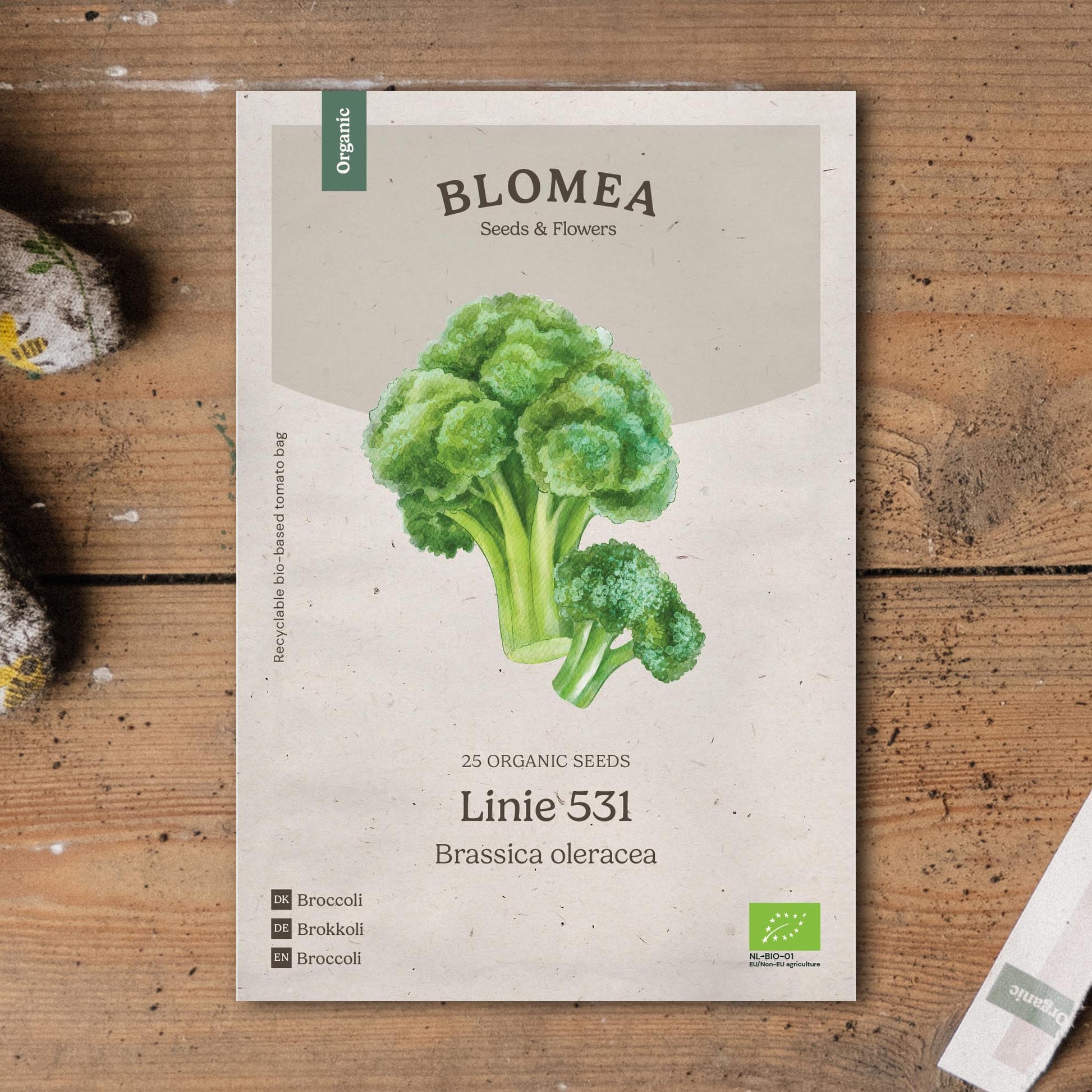 Broccoli frø 'Linie 531' - 25 Økologiske Frø